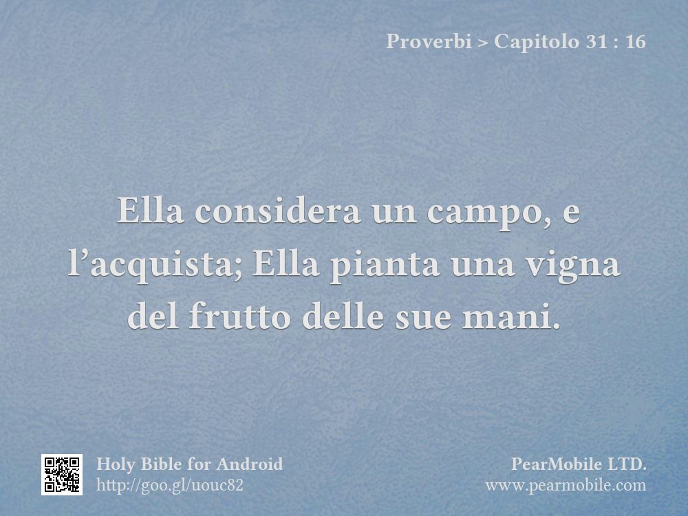 Proverbi, Capitolo 31:16